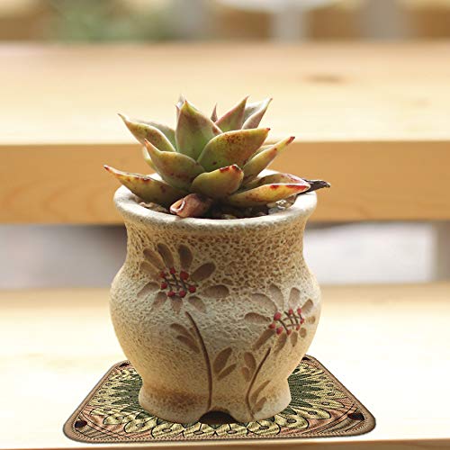 Colorful Boho Planter Pot Mat Set of 6 - Absorbent, Non-Slip Plant Pad for Table, Desk, Floor - 8.5 Inch Flower Mat - view 5