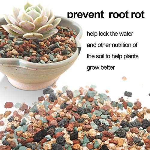 Mix Horticultural Lava Rock Pebbles Pumice Potting Soil Amendment Succulent Cactus Bonsai Gritty Rock Decorative Gravel Plant Drainage Volcanic for Terrarium Fairy Gardening Top Dressing 6lb - view 3