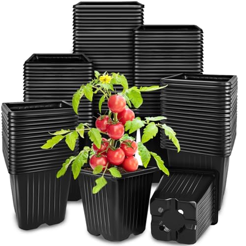 100Pcs Square Plant Nursery Pots,3.5 Inch Plastic Pots with Drainage Holes,Reusable Seed Starter Pots for Flowers,Vegetables,Garden Planting,Transplanting,Succulents,Cuttings(Black)