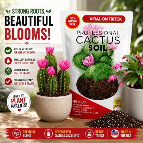 Professional Cactus Soil Mix Large 2.2 Quarts Ready to Use, Premium Fast Draining Potting Soil for Cactus and Succulents, Peat Moss Coco Coir Perlite Dolomite Blend Indoor Plant Soil Made in USA - view 2