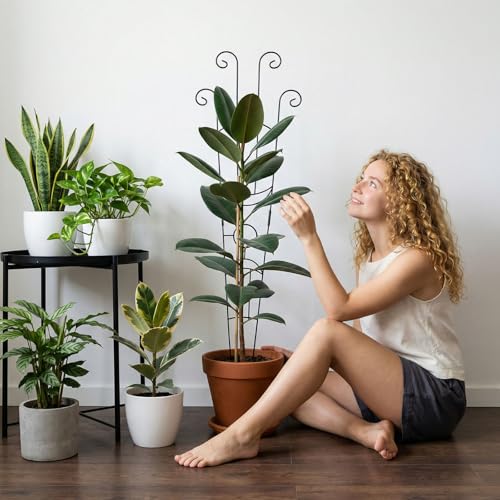 2 Pack 33 In Adjustable Plant Trellis for Climbing Plants Indoor Thickened Rust-Proof Metal Climbing Support Expandable 15-30 Inch Indoor Outdoor Garden Trellis for Pothos Ivy Monstera with Plant Ties - view 2