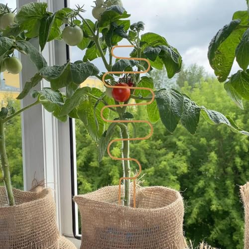 Small Metal Trellis for Potted Plants, Climbing Plant Support Stake - view 7