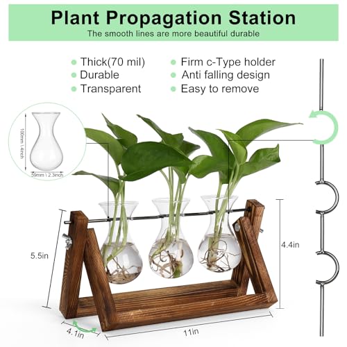 Propagation Stations,Plant Terrarium with Wooden Stand-3 Glass Vases - view 3