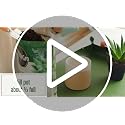 Succulent Potting Mix, 4 qt. (2-Pack) - view 7