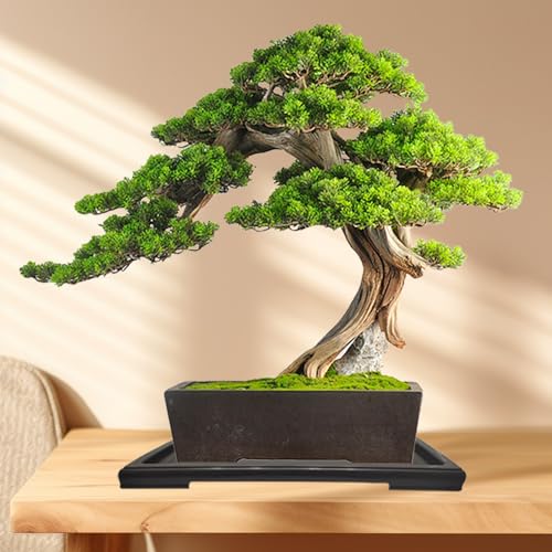 2 Packs Bonsai Humidity Plant Tray Drip Trays, Square Plastic Pot Saucer Draining Tray for Indoors Outdoors for Cactus, Succulents, Bonsai Tree, Stone to Drain, Protect, Decorate(11.4*8.4Inch) - view 3