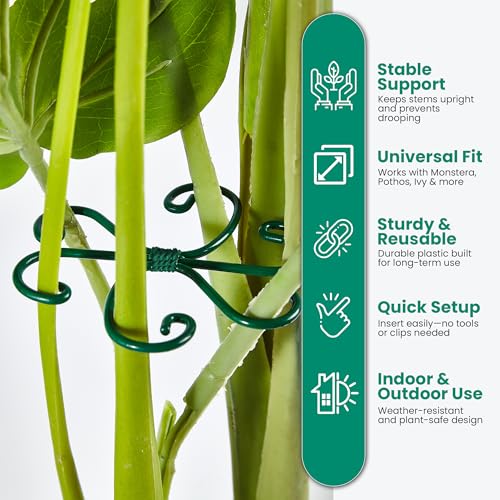 6 Pack Metal Plant Stem Supports for Indoor Plants (Green) - Houseplant Climbing Stem Supports and Stabilizer for Outdoor Plants - view 3