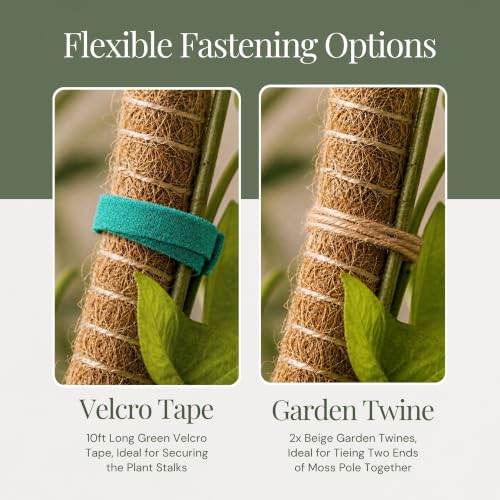 2 Pack 30" Moss Pole for Plants – Moss Pole Monstera Plant Support - view 4