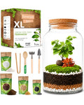 Terrarium Kit for Plants DIY