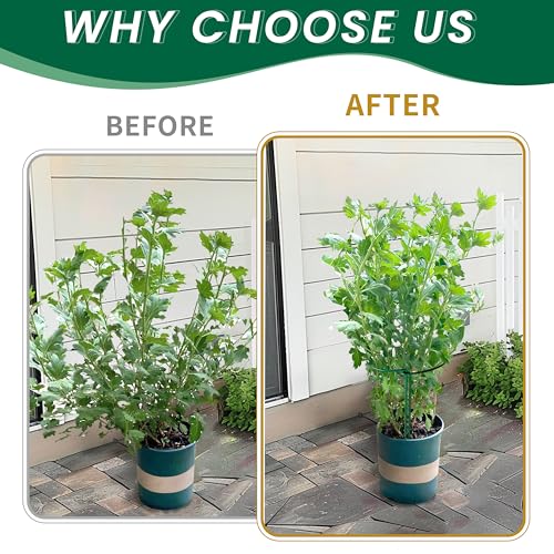 10 Pack Garden Plant Support Stakes,10" Widex16 High Heavy Duty Interlinked Half Round Peony Support Ring Cage for Indoor Outdoor Plants,Plant Supports for Peony,Tomato,Hydrangea,Rose - view 4