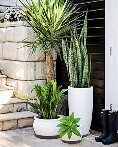 Round Plastic Plant Saucer Drip Tray Set of 6 for Indoor Outdoor Home Garden Flower Plant Container Flower Pot Pallets ((9.4''+10.4"+12'') x2, Dark Grey) - view 6