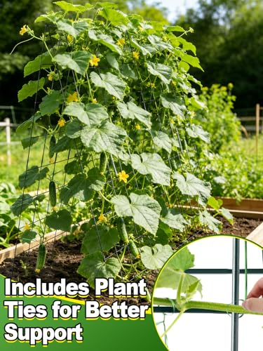 2Sets Cucumber Trellis for Raised Garden Bed - 59" L x15.7'' W 4.5mm Wire Heavy Duty Weather-Resistant Foldable A-Frame Metal Plant Support, for Squash Pole Bean Climbing Plants Vegetables Outdoor - view 3