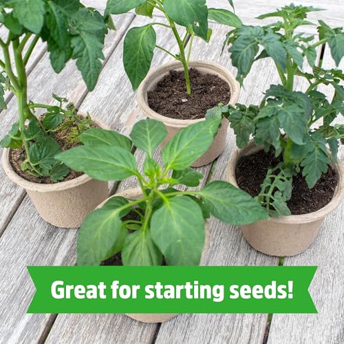 Organic Coir, 51 Quart Expanding Soil, Great for Seeds and Potting - view 4