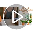 8 Herb Garden Kit, Indoor Growing Kit, Gardening Gifts for Women - view 7