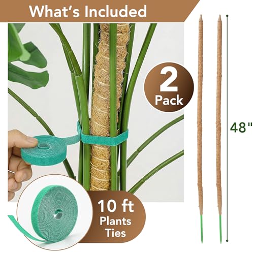 Bendable Moss Pole Monstera Plant Support, 48 Inch, 2 Pack, 10 Feet Plant Ties, Moss Poles for Climbing Plants and Monstera Trellis - view 2