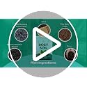Houseplant Potting Soil, Organic Indoor Potting Mix, 4 Qt, 2 Pack - view 7
