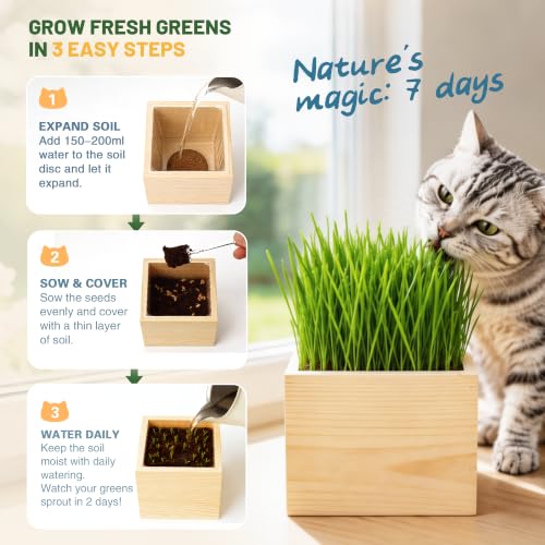 Cat Grass Kit Indoor Cats - Cat Grass Growing Kit with Wooden Planter, 3 Plantings with Wheatgrass Seeds, Coconut Soil Discs & Gardening Tool, Indoor Cat Garden Gift - view 6