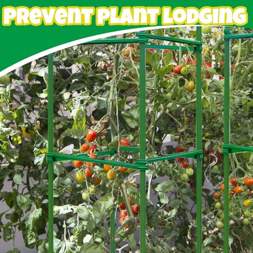 100Pcs Plant Stake Arms for Tomato Cage,11.8" Garden Stake Connectors with 2 Adjustable Buckles,Expandable Trellis Connectors Attach 11mm Diameter Plant Stakes for Climbing Plants Vegetables - view 7