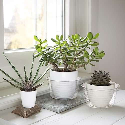 50 Pack Clear Plastic Plant Saucer Drip Tray for Pots, 6 Inch Deep Flower Pot Saucers Water Catcher Tray Watering Trays for Plants Indoors and Outdoor - view 6