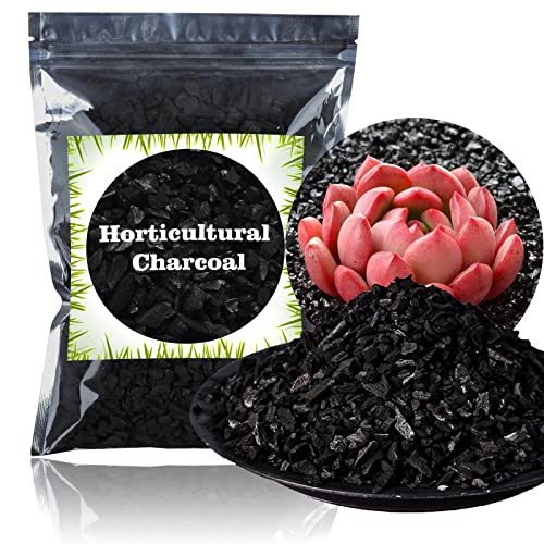 Horticultural Charcoal for Plants 2 qt, All Natural Hardwood Charcoal, Activated Charcoal for Soil Amendment, Orchids, Terrariums, and Gardening