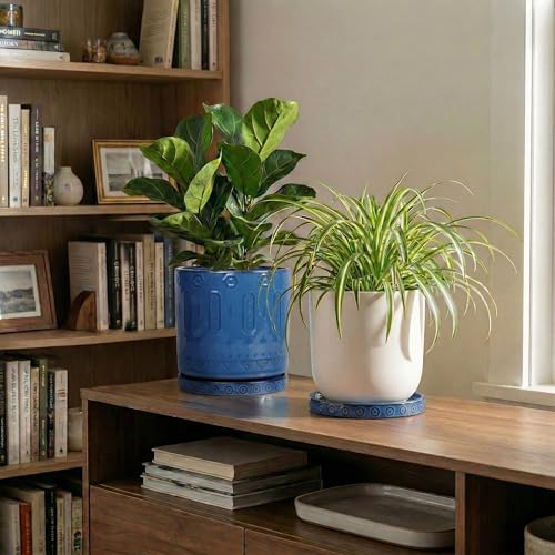 2 Pack 5.6 Inch Flower Pot Saucers, Plant Water Catcher Tray for Indoor Outdoors, Round Plants Plates to Catch Water, Boho Plants Dishes to Catch Water, Decorative Planter Tray, Blue - view 6