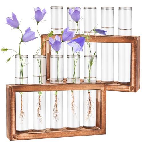 2pcs Desktop Glass Plant Propagation Station (10 Tubes)