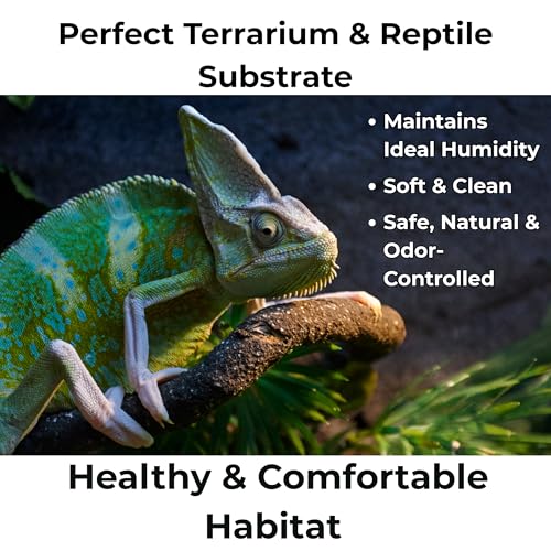 Peat Moss for Plants – Organic Sphagnum Peat Moss for Orchids, Terrariums, Seed Starting, Reptiles & Potting Soil Mix (15 quarts) - view 6