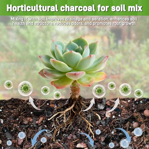 2QT Horticultural Charcoal for Plants - view 5