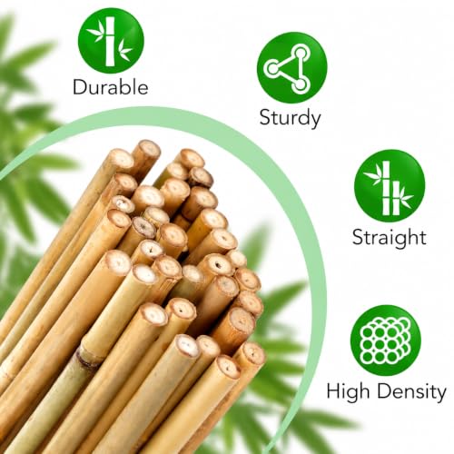 40 Pack Bamboo Stakes for Plant 5 Feet(57.5inch), Bamboo Sticks Plant Support Garden Stakes Poles with 200pcs Twist Ties for Tomatoes, Beans, Potted Plants, Indoor and Outdoor Climbing Plants - view 2
