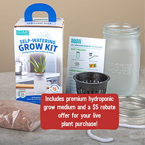 Self Watering Grow Kit - Glass Hydroponic Planters for Succulents and Cacti Self-Watering System - view 5