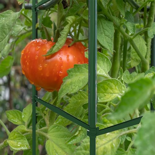 36PCS Plant Stake Arms for Tomato Cage，Expandable 11.8" Plant Supports Trellis Connector Clips for 11mm Garden Plants Stakes Stand Outdoor/Indoor - view 5