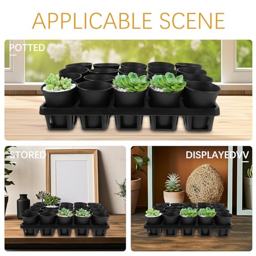 Black Plastic Succulent Pot Tray with Humidity Dome for Seed Starting - view 3