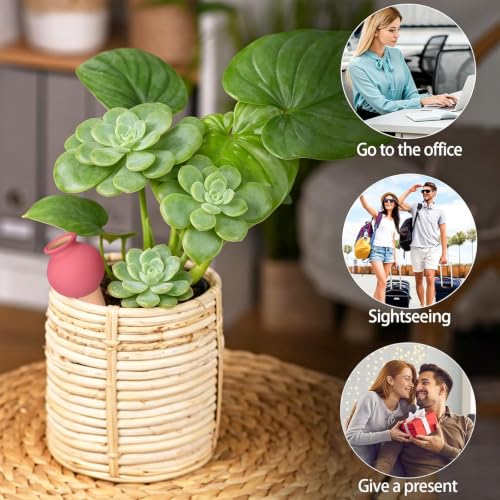 4 Pack Terracotta Self Watering Globes, Self Plant Waterer, Watering Spikes, Cute Colorful Ball, Aqua Bulbs for Indoor, Automatic Plant Watering Devices, & Silicone Fold Funnel - view 5