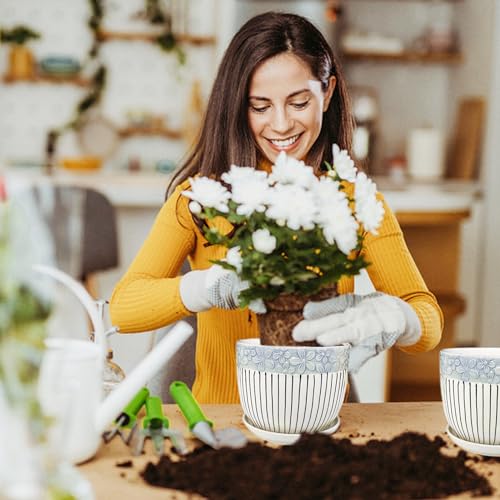 Ceramic Plant Pots Set of 3, 6.75/5.6/4.2 inch Planters with Drainage Holes and Saucer, Flower Pot Outdoor Indoor, Modern Decorative Planters for House Plants Garden Planters Succulent Pots - view 6