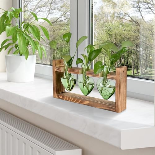 Plant Terrarium Propagation Stations Hydroponics - view 6