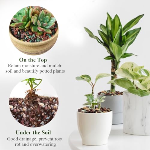 5 lbs Succulent Cactus Soil Potting Mix, 1/4 Inch Pebble for Plants - view 6