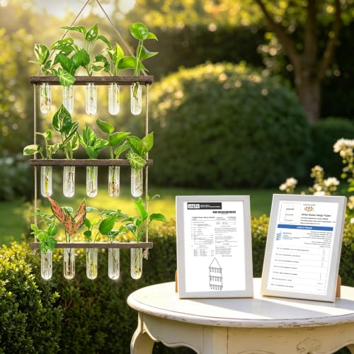 Wall Hanging Propagation Station with Wooden Stand 5 Glass Test Tubes 3 Tiered Planters Wall Terrarium for Home Office Plant Hanger Flower Vases Wall Decor Hydroponic Cuttings - view 5
