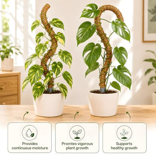 Moss Pole for Monstera, 3-Pack 50in PVC Plant Support Pole - view 5