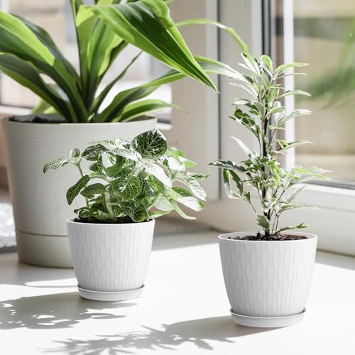 6 inch Flower Pots, 5 Pack Plant Pots with Drainage Holes and Saucers for Indoor Plants, Plastic Planters with Water Ripple for Small Garden House Plants, Nursery Pots for Succulent, White - view 7