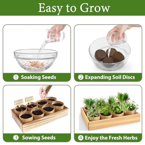 Indoor Herb Garden Kit, Complete Herb Starter Growing Kit with Seeds & Tools, Unique Christmas Birthday Gifts for Women Men Mom Dad, House Warming New Home Kitchen Gifts for Plant Lovers - view 3