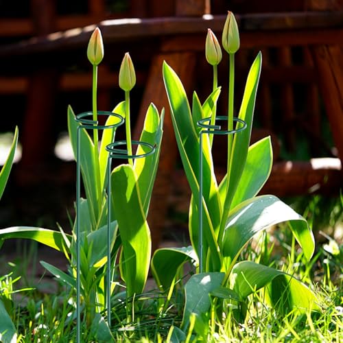 24 in Plant Stakes, 12 Pack Garden Plant Support Stakes(12" or 24") - view 2