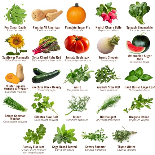 Vegetable, Fruit & Herb Seeds, 44 Packs, Non-GMO, 15,000+ Seeds - view 3