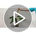 【4 Pack】 Moss Pole, 17 inch Coco Coir Totem Poles Extending to 53 Inches, Plant Support Stick Plant Poles for Indoor Plants Climbing Plants Monstera, Sphagnum, Pothos - view 7
