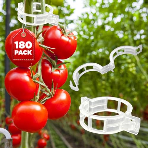 180 Pcs Plant Support Clips, Clear Plastic Trellis Clips, Garden Clips, Vegetable Clips, Vine Tomato Clips for Plants Support, Plant Clips for Climbing Plants to Grow Upright & Healthier