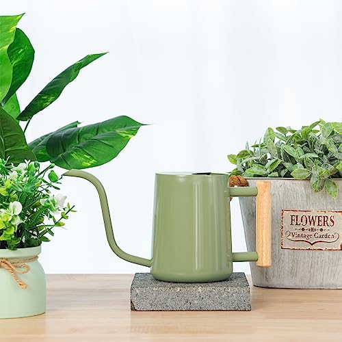 Metal Watering Can for Indoor Plants, 35oz Sage Green Cute Stainless Steel Pot with Long Spout for Indoor House Plants Bonsai Outdoor Garden Flower Decorative - view 4