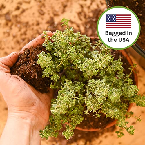 Indoor Plant Soil, 8 qt, Coco Coir Potting Mix - view 4