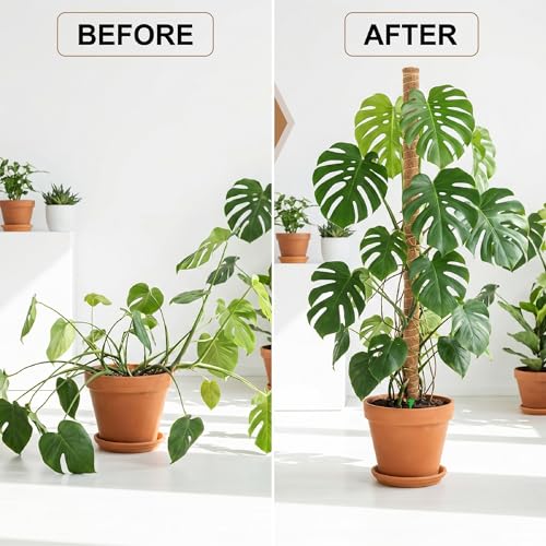 Bendable Moss Pole Monstera Plant Support, 48 Inch, 2 Pack, 10 Feet Plant Ties, Moss Poles for Climbing Plants and Monstera Trellis - view 5