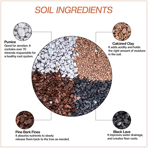 Bonsai Soil All Purpose Mix | Fast Draining Pre Blend (2 Quart Bag) Plant | Pumice, Lava, Calcined Clay and Pine Bark ● Potting Pre Mixed Bonsai Plant Soil Mixture By The Bonsai Supply - view 2
