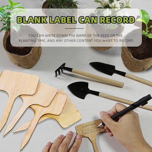 Premium Bonsai Kit,Complete Bonsai Starter Kit with Wooden Gift Box,repotting mat, Burlap Pots & Gardening Tools, DIY Bonsai Plant Set for Adults & Beginners (Seeds Excluded)Birthday Thanksgiving gift - view 5