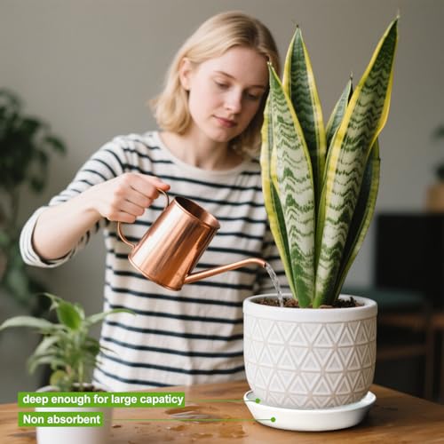 2 Pack 6 Inch Plant Saucer Tray, 4 5 6 7 8 9 10 12 14 15 inch Plant Saucers, Ceramic Flower Plant Water Trays for Pots Indoor Outdoor Plants Plate - view 5