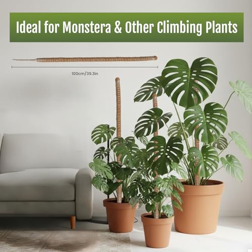 2 Pack 39 Inch Bendable Moss Pole for Plants Monstera - Coco Coir Plant Support Stakes for Climbing Indoor Pothos, Potted Climbers & Philodendron - Flexible Stick Kit with Full Garden Ties - view 5
